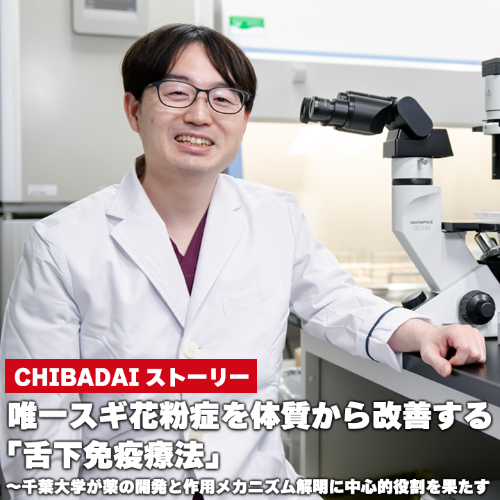 唯一スギ花粉症を体質から改善する「舌下免疫療法」～千葉大学が薬の開発と作用メカニズム解明に中心的役割を果たす