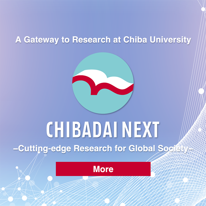 chibadai_next