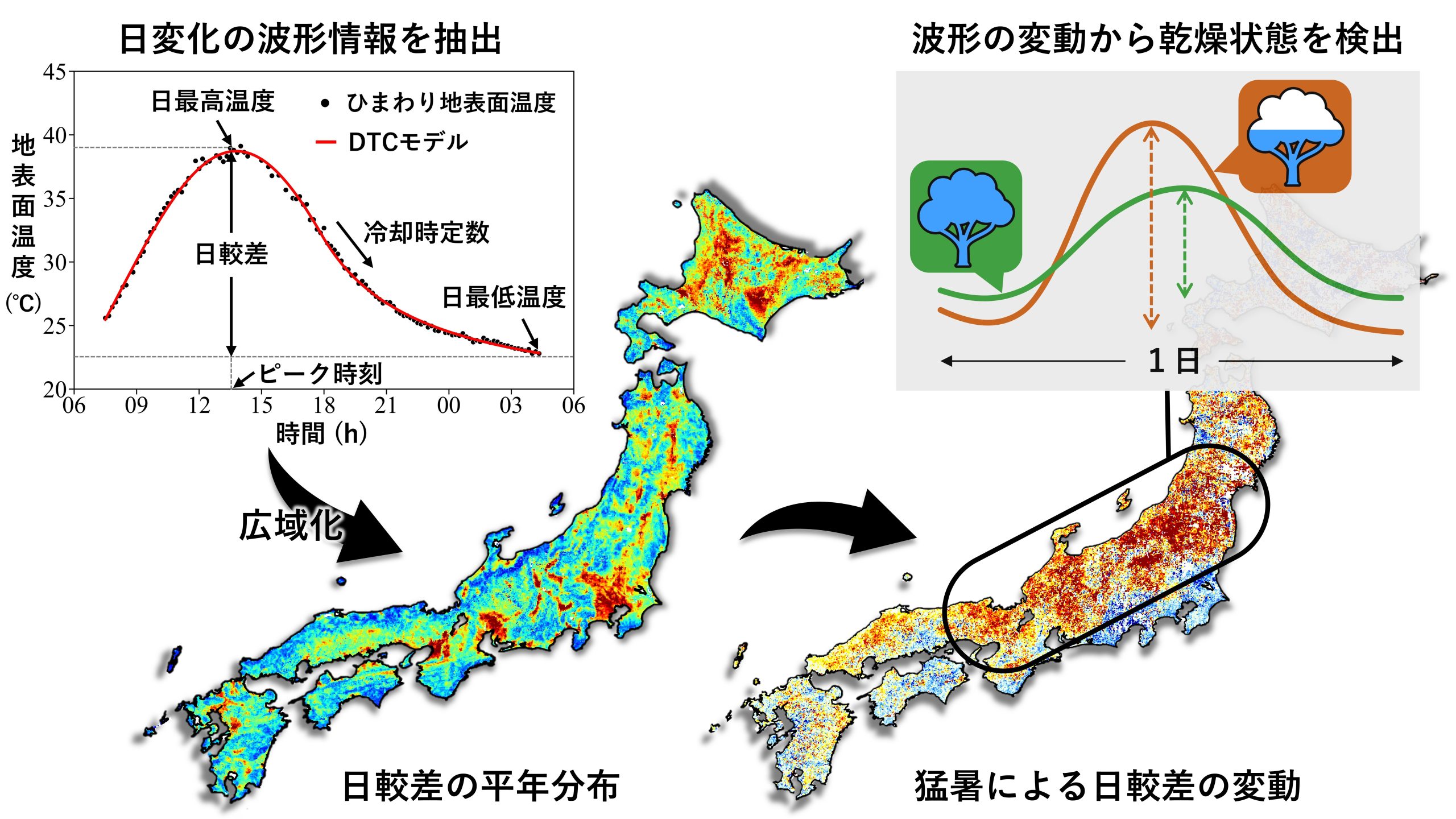 気象衛星で植物の熱中症を診断～ 温度日変化の波形が水分不足のサイン