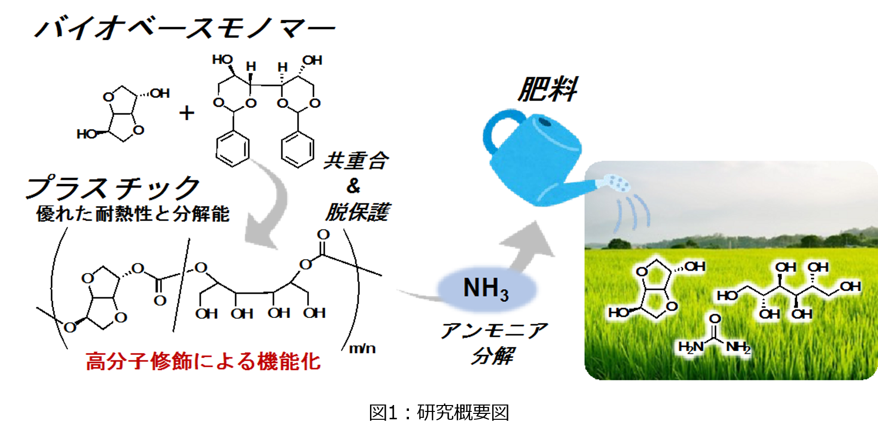 肥料に変換できるプラスチックの機能化に成功～循環型