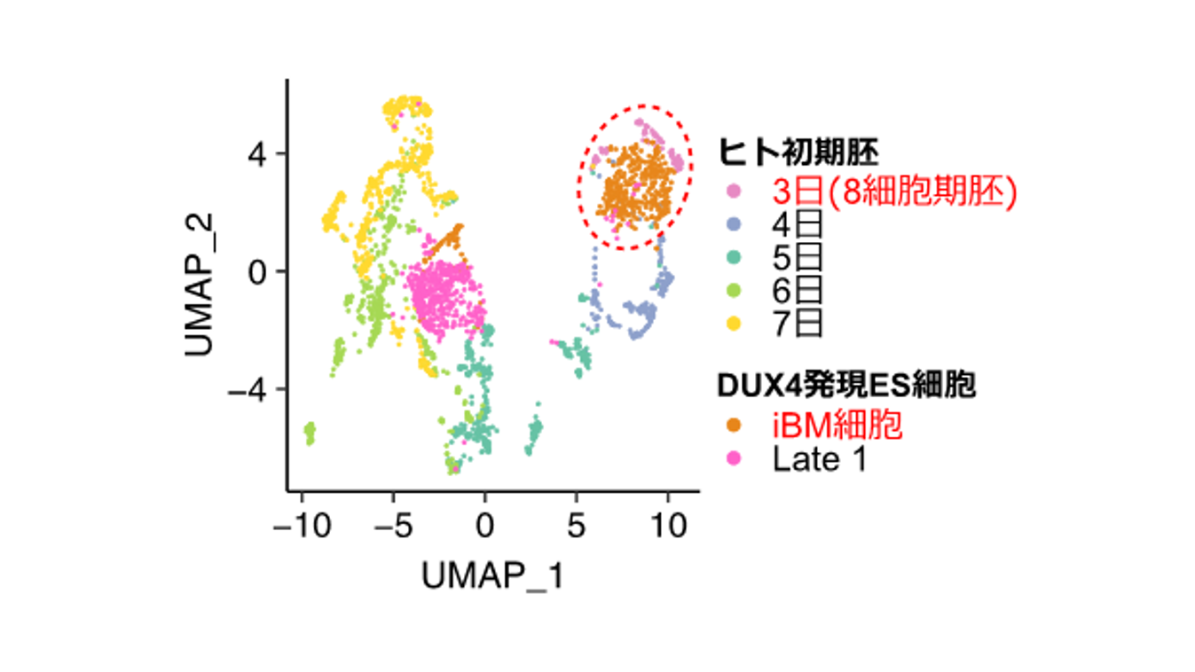 卵子学 Tokyo: Subsidy scale for egg freezing increased 10 times