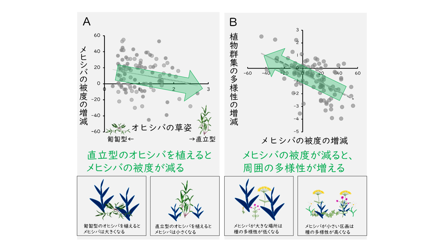【状態良好】静電三法　植物波農法・物質変性法・人体波健康法 Amazon.co.jp: 静電三法―植物波農法・物質変性法・人体波健康法