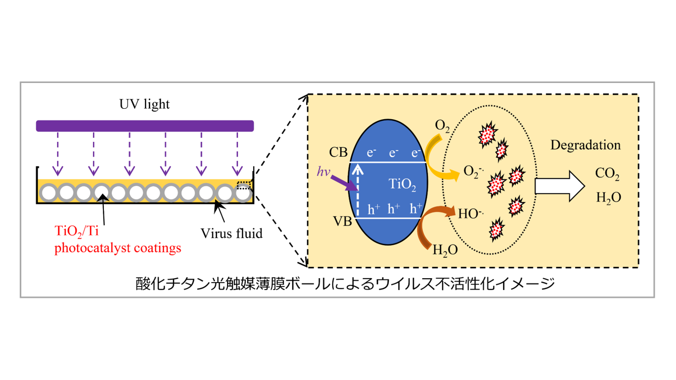 光膜理論 新型コロナウイルス（SARS-CoV-2）を99.99%不活化する光触媒膜ボールを