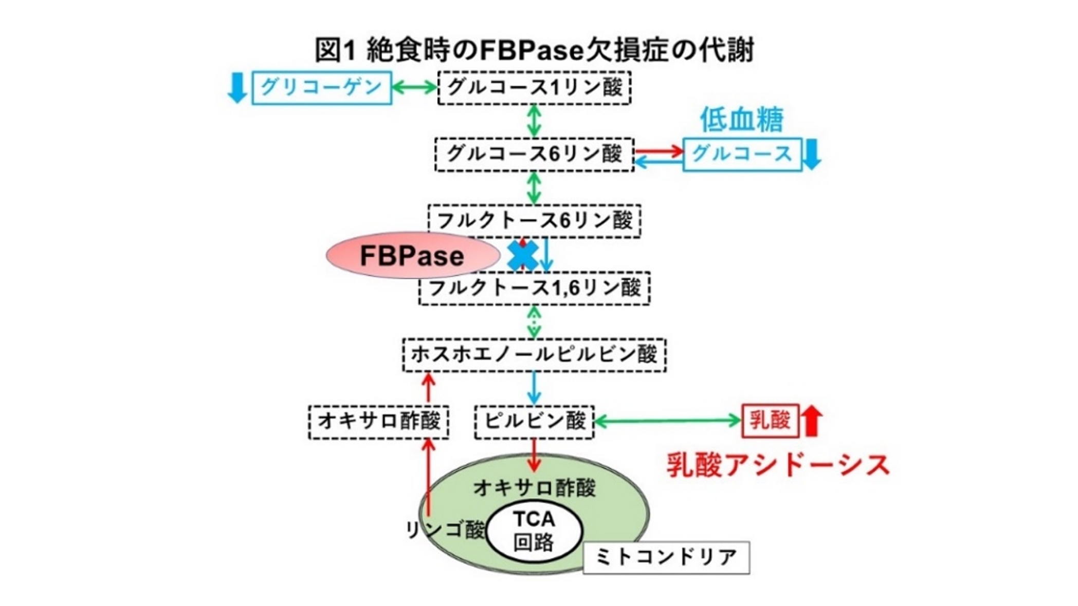自分でできる！ 薬に頼らない糖尿病の大正解 ―血糖値を下げる