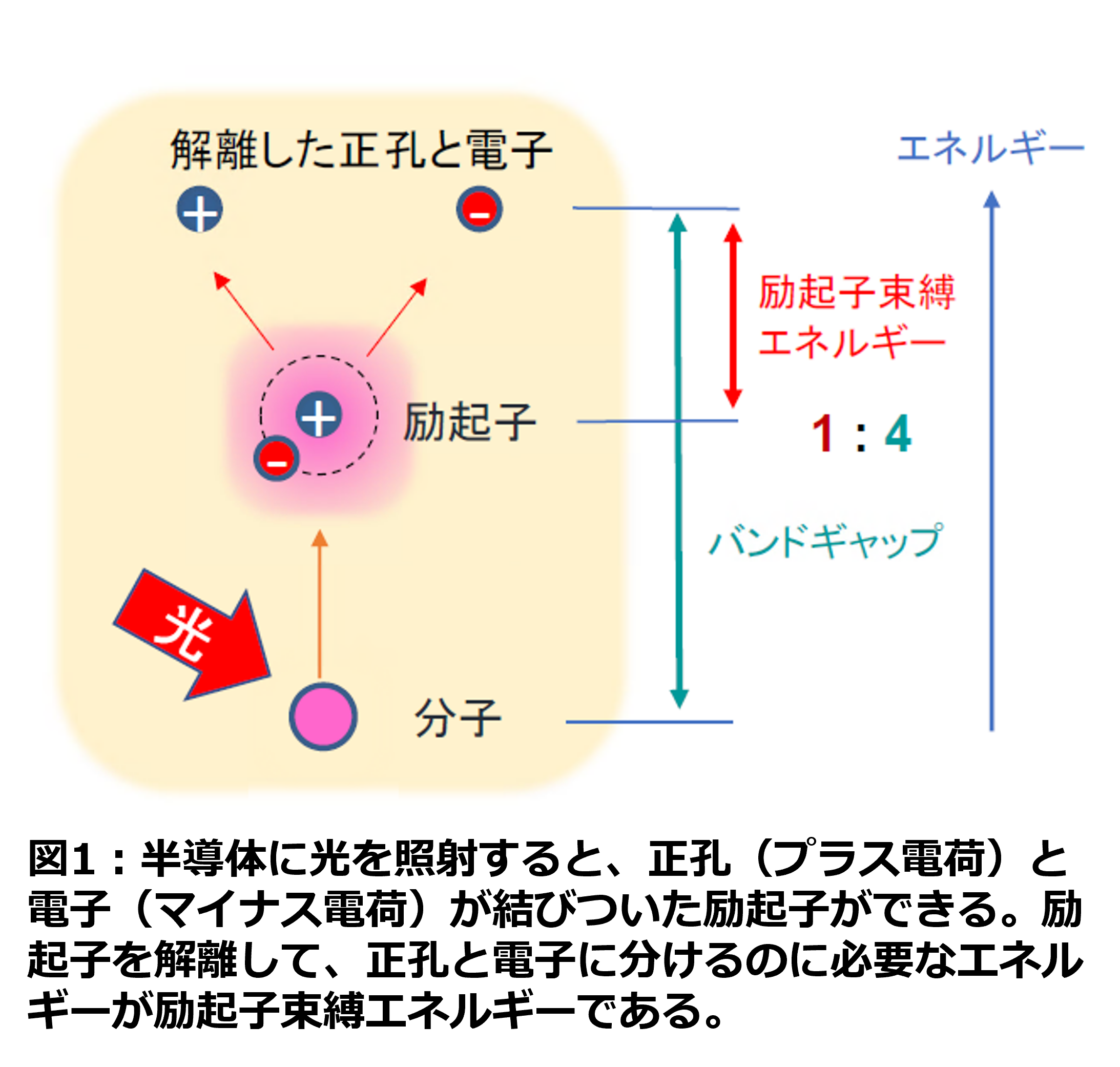 光波が本来持っている超高速性を追求する「超高速光エレクトロニクス」 高出力ファラデー光学アイソレーター | Newport ニューポート社