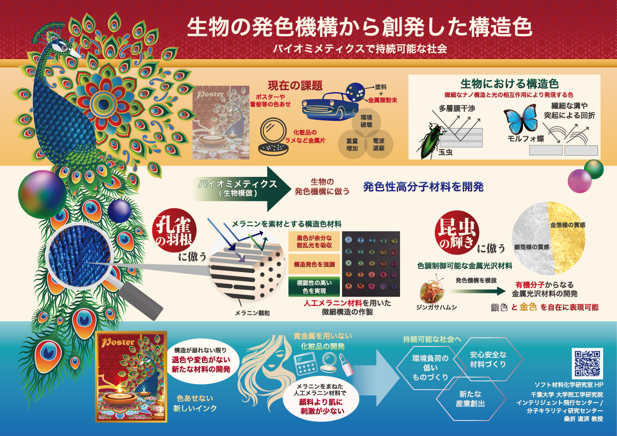 インフォグラフィック：
生物の発色機構から創発した構造色
バイオミメティクスで持続可能な社会
千葉大学 大学院工学院 桑折道済 教授
