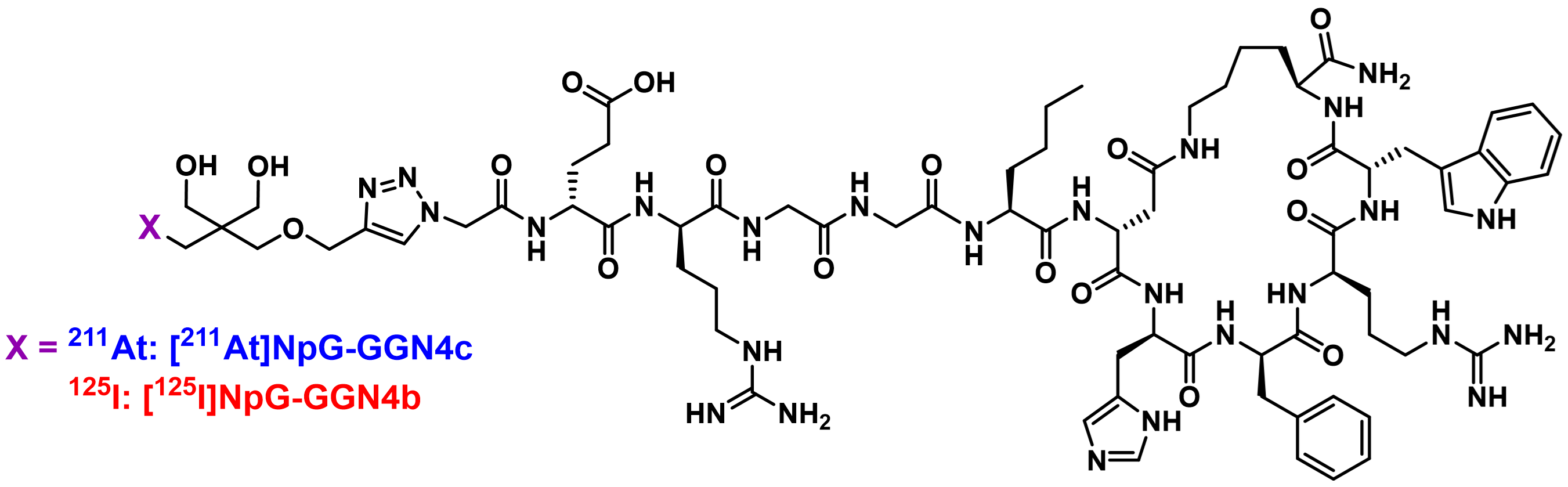 高い腫瘍選択性を示す悪性黒色腫の標的アルファ線治療用薬剤を開発