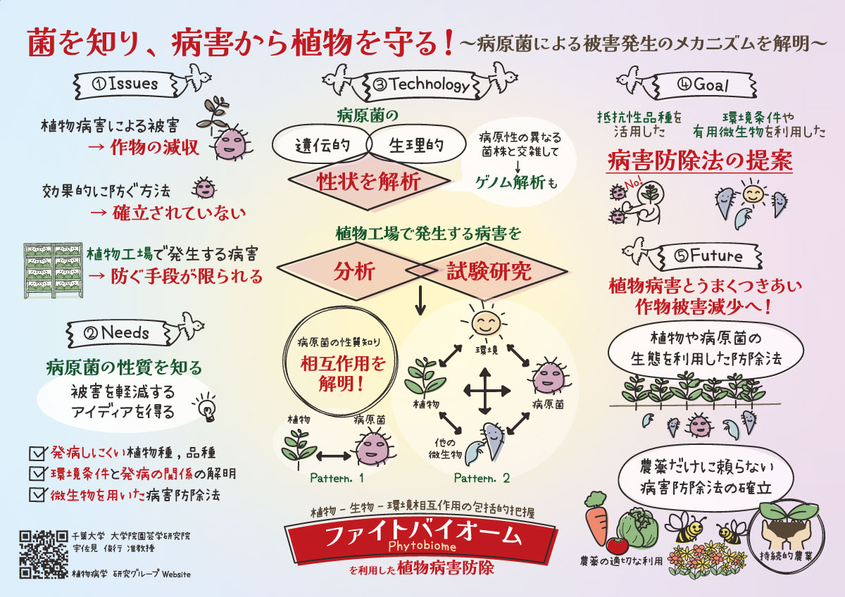 インフォグラフィック
菌を知り、病害から植物を守る！～病原菌による被害発生のメカニズムを解明～

千葉大学 大学院園芸学研究院
宇佐見 俊行 准教授